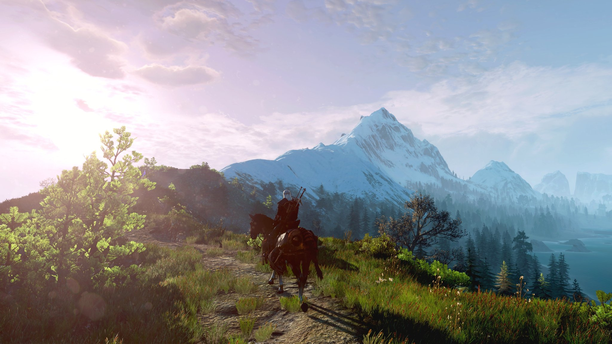 The Witcher 3 Wild Hunt