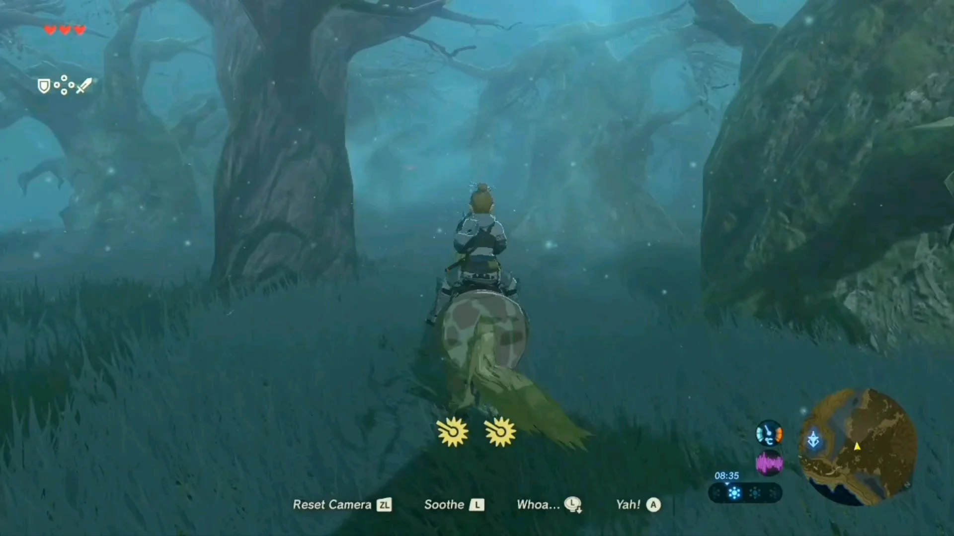 Lost Woods in Zelda